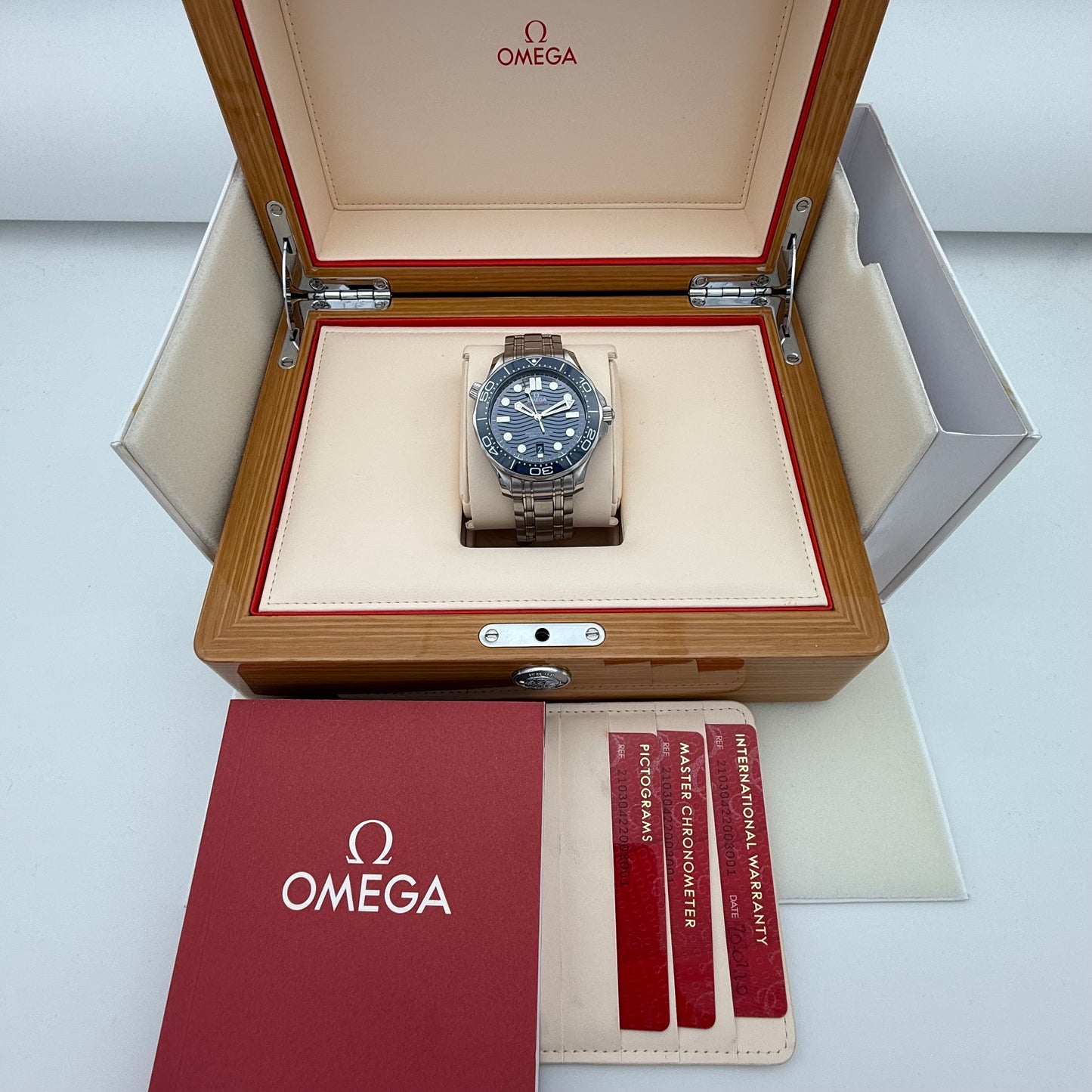Seamaster Diver 300