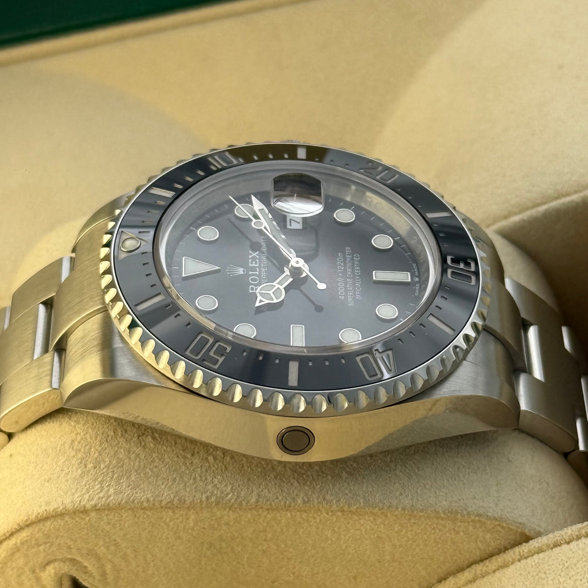Sea Dweller 43, Red