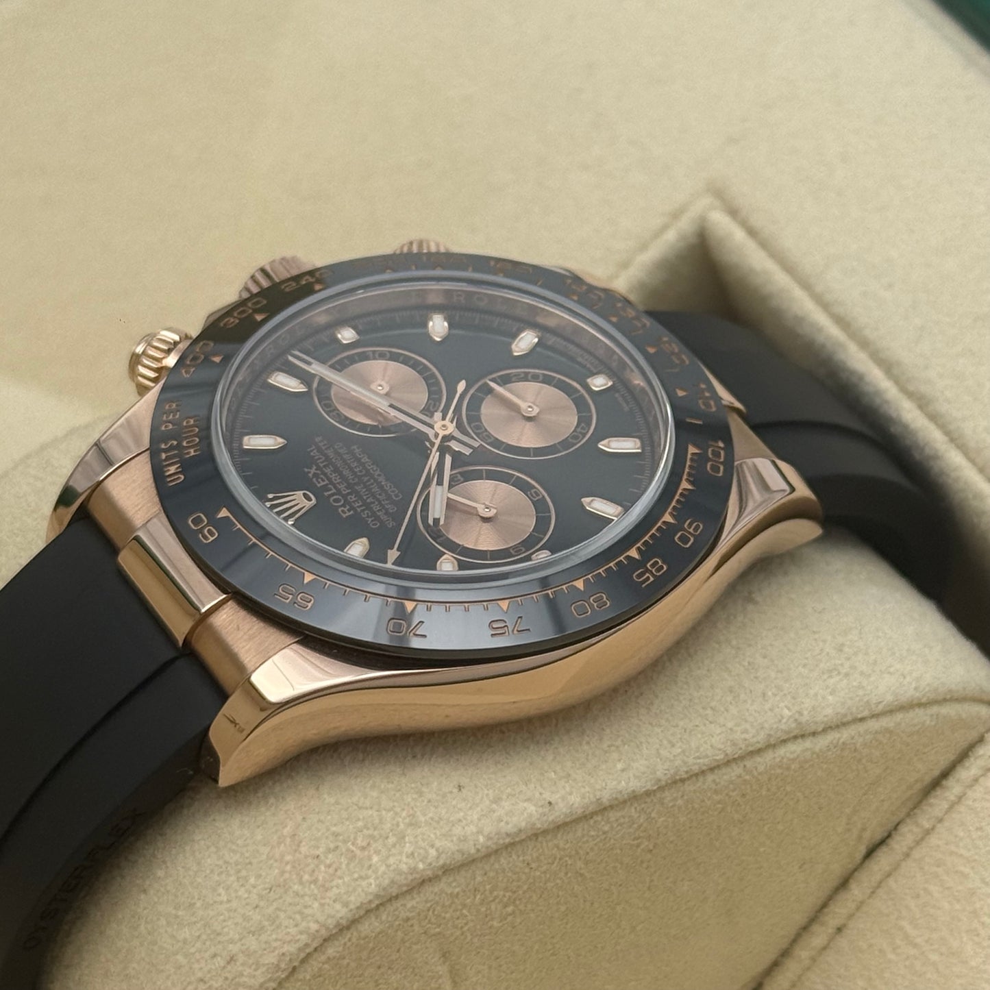 Daytona Oysterflex